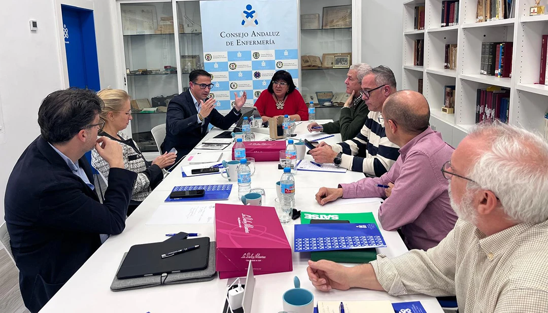 El Consejo Andaluz de Enfermería y SATSE Andalucía refuerzan una posición común para un acuerdo urgente con la Junta de Andalucía